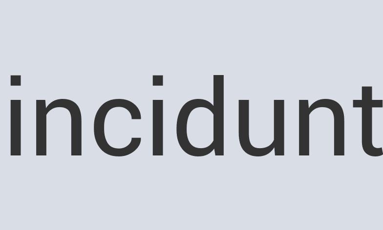 Lightweight Granite Bee Salt