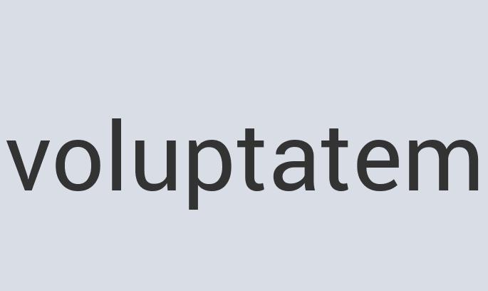 Practical Steel Media Pet