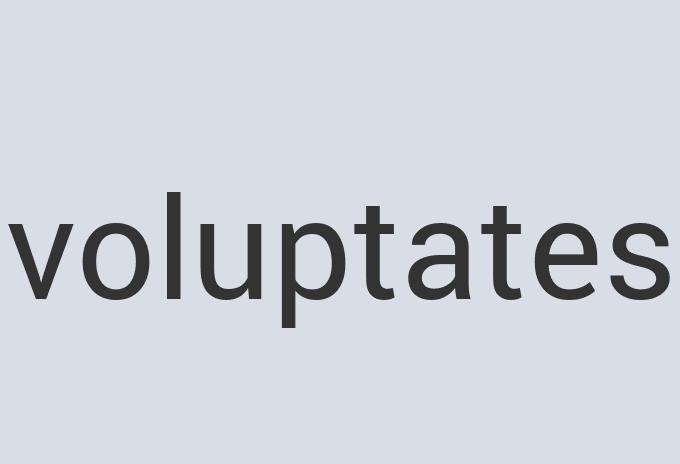 Heavy Duty Iron Zenlighten